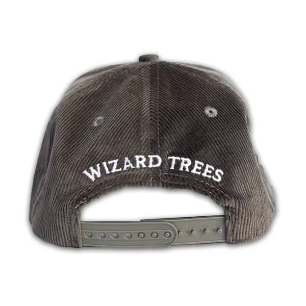 LA Corduroy Hat - Grey - Back