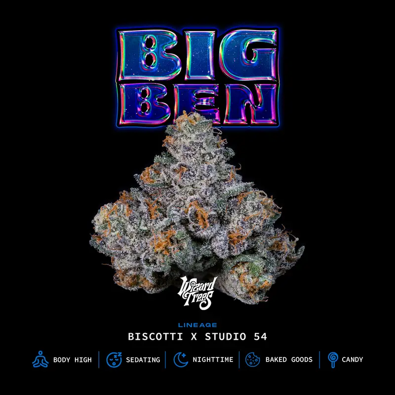 Big Ben Seeds by Wizard Trees