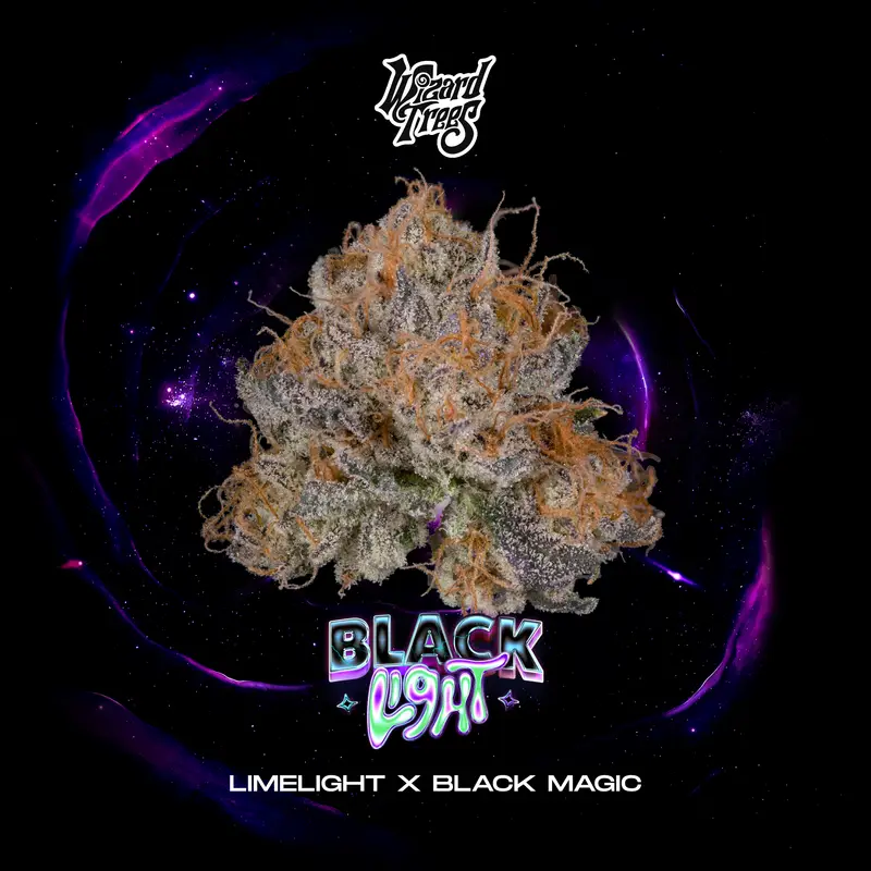 Blacklight Seeds by Wizard Trees