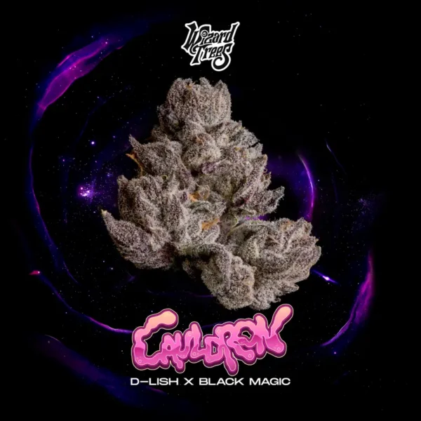 Cauldron Seeds by Wizard Trees