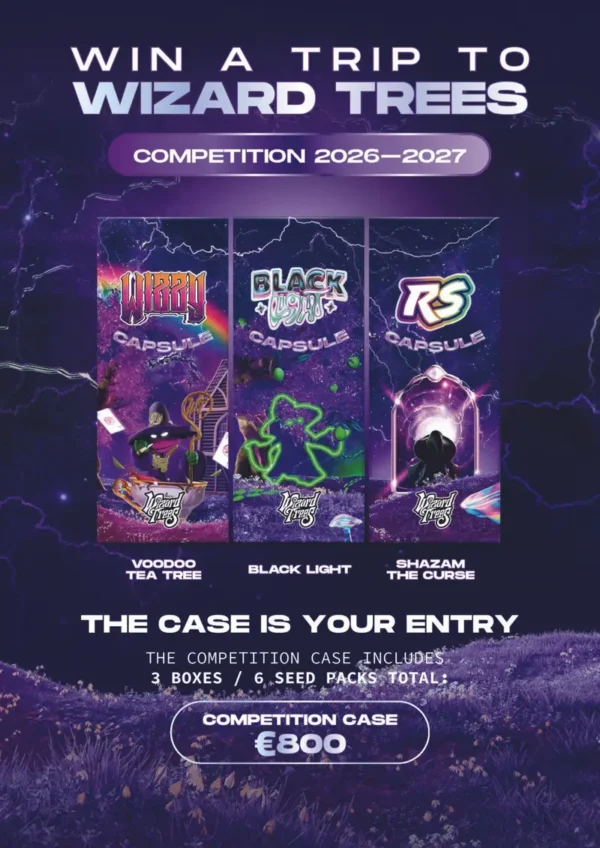 Competition Case Box Collect by Wizard Trees