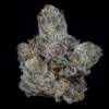 Lemon Fever Seeds by Wizard Trees