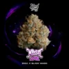 Night Ritual Seeds by Wizard Trees