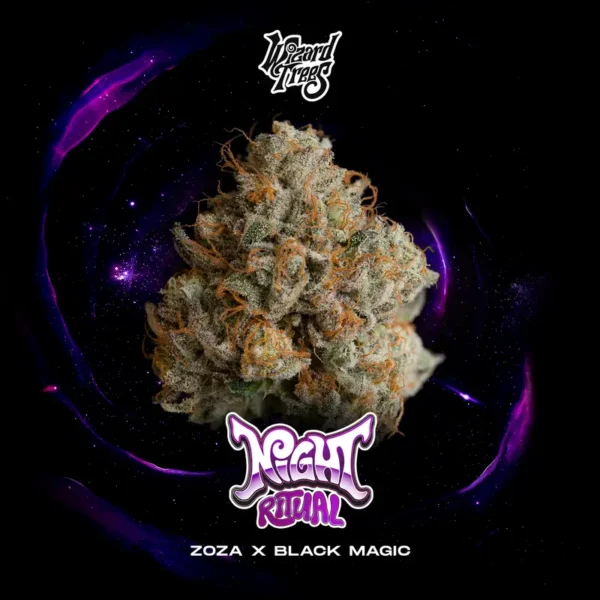 Night Ritual Seeds by Wizard Trees