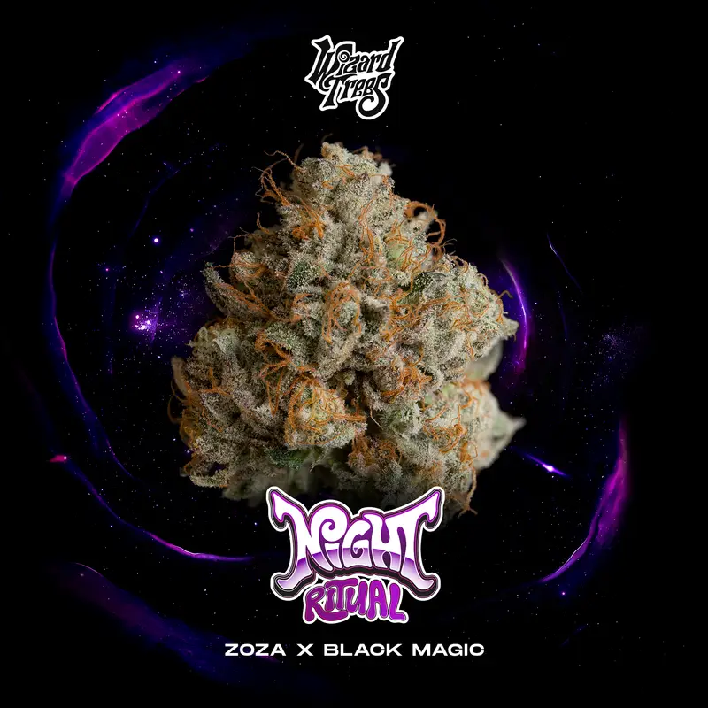 Night Ritual Seeds by Wizard Trees