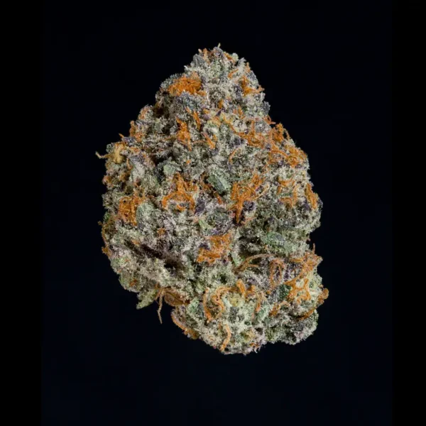 Potion Seeds by Wizard Trees