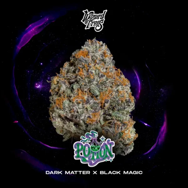 Potion Seeds by Wizard Trees