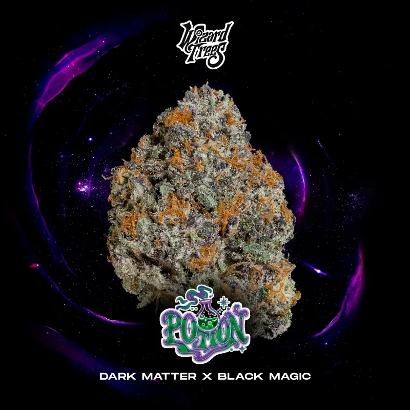 Potion Seeds by Wizard Trees