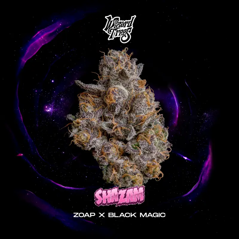 Shazam Seeds by Wizard Trees
