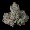 Studio Cherry Seeds by Wizard Trees