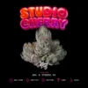 Studio Cherry Seeds by Wizard Trees