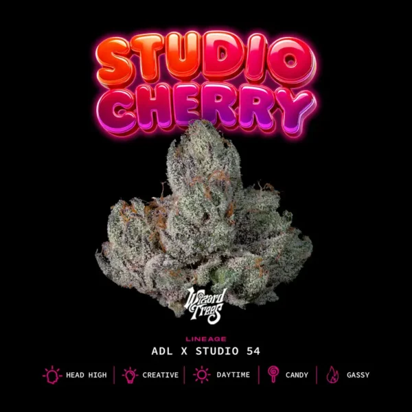 Studio Cherry Seeds by Wizard Trees