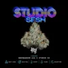 Studio Sesh Seeds by Wizard Trees