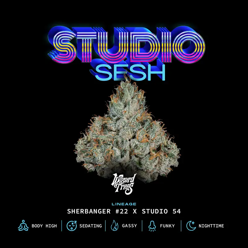 Studio Sesh Seeds by Wizard Trees
