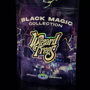 Tea Tree Seeds by Wizard Trees