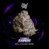The Curse Seeds by Wizard Trees
