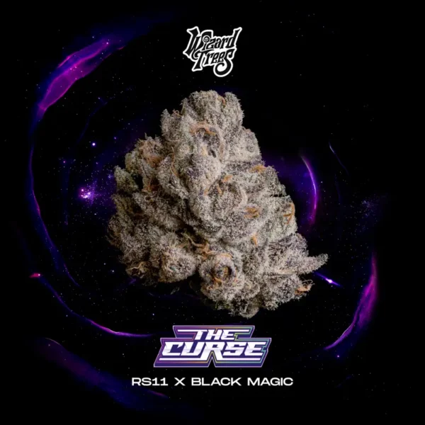 The Curse Seeds by Wizard Trees