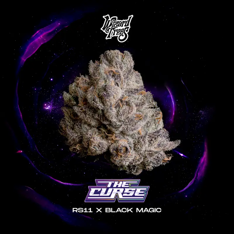 The Curse Seeds by Wizard Trees
