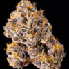 The Keeper Seeds by Wizard Trees