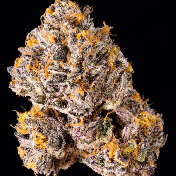 The Keeper Seeds by Wizard Trees