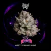Voodoo Seeds by Wizard Trees