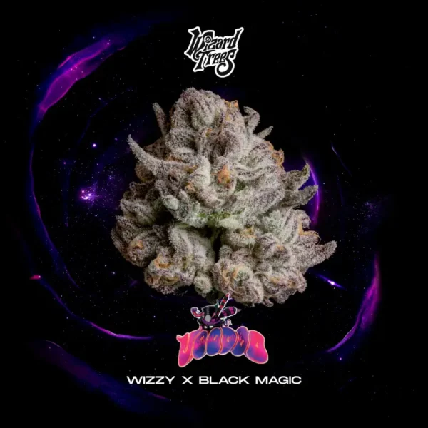 Voodoo Seeds by Wizard Trees