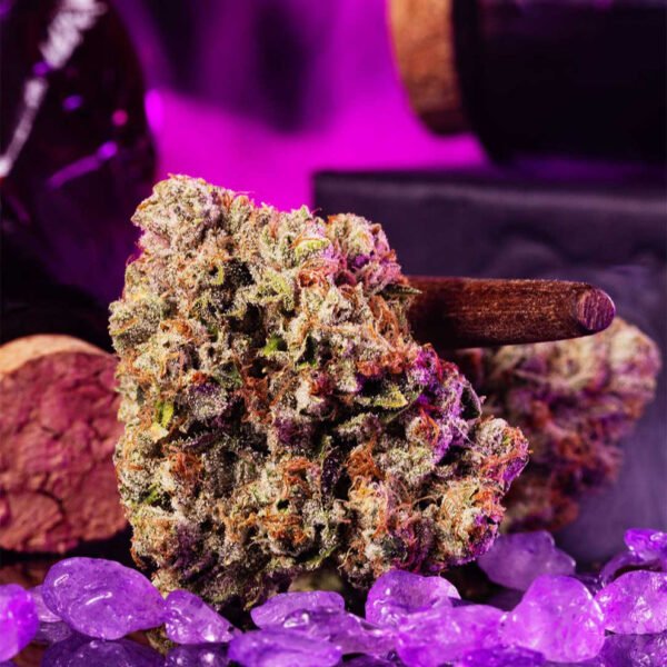 Wizard Fuel Seeds by Wizard Trees