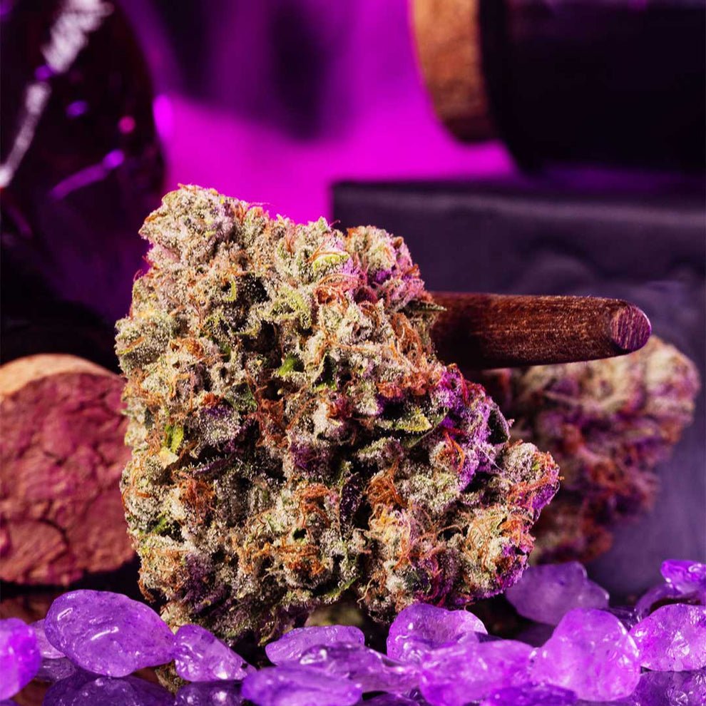 Wizard Fuel Seeds by Wizard Trees