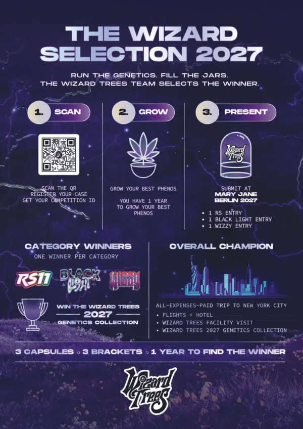 Competition Case Box Collect by Wizard Trees